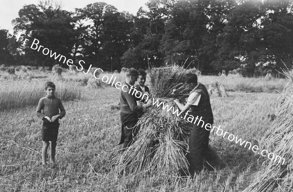 HARVESTING AT ST MARY'S THE HELPERS